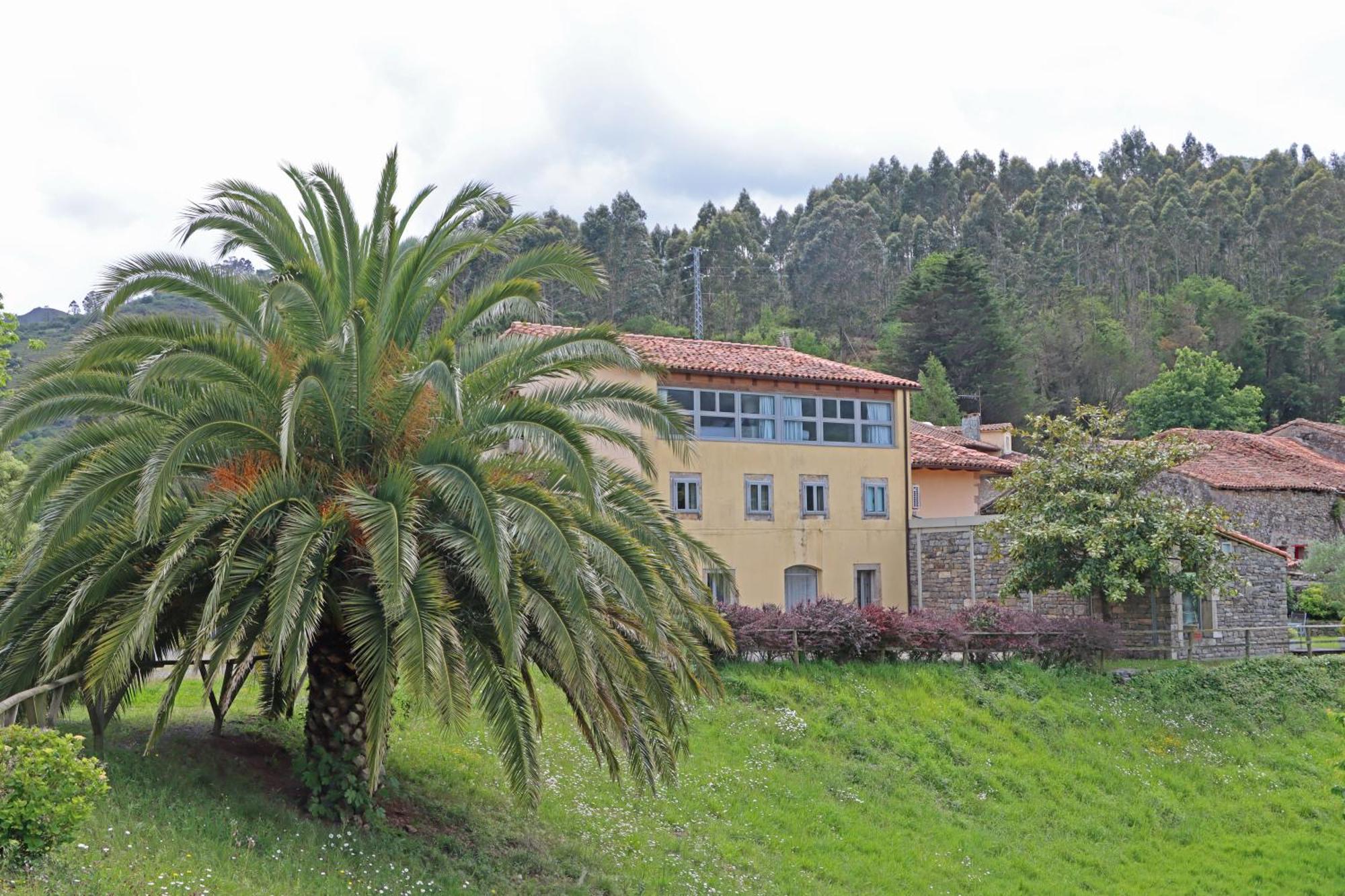 Hotel El Babu Caravia Exteriör bild